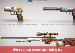 罗技CSGO2宏文件怎么样？如何设置？