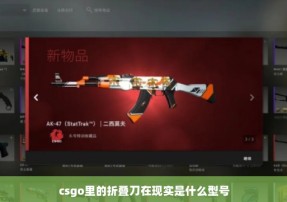 csgo里的折叠刀在现实是什么型号