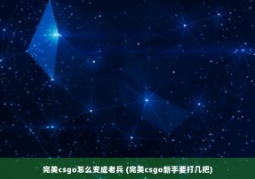 完美csgo怎么变成老兵 (完美csgo新手要打几把)