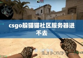 csgo躲猫猫社区服务器进不去