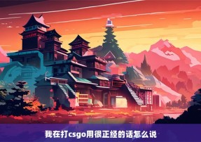 我在打csgo用很正经的话怎么说