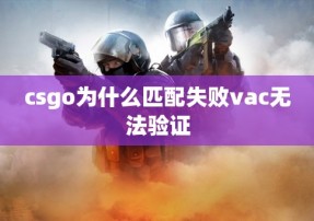 csgo为什么匹配失败vac无法验证