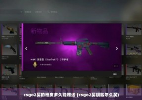 csgo2买的枪皮多久能赠送 (csgo2买钥匙怎么买)