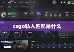 csgo私人匹配是什么