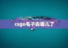 csgo毛子去哪儿了