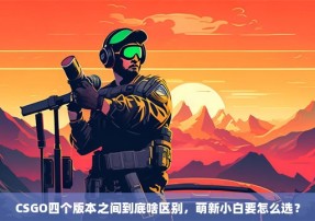 CSGO四个版本之间到底啥区别，萌新小白要怎么选？