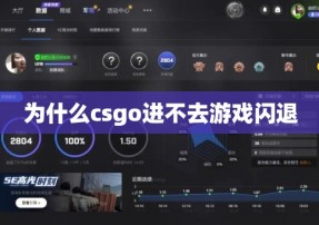 为什么csgo进不去游戏闪退