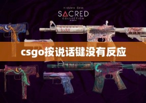 csgo按说话键没有反应