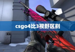 csgo4比3视野区别