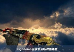 csgodemo回放怎么听对面语音