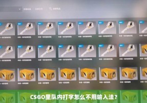 CSGO里队内打字怎么不用输入法？