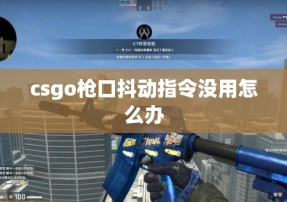 csgo枪口抖动指令没用怎么办