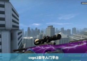 csgo2新手入门平台