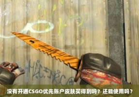 没有开通CSGO优先账户皮肤买得到吗？还能使用吗？