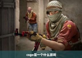 csgo是一个什么游戏