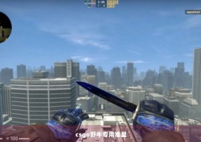 csgo野牛专用准星