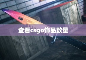 查看csgo饰品数量