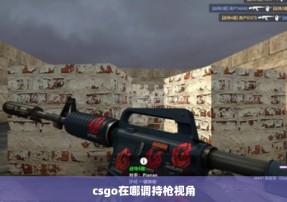 csgo在哪调持枪视角