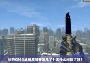 我的CSGO武器皮肤去哪儿了？出什么问题了吗？