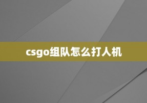 csgo组队怎么打人机