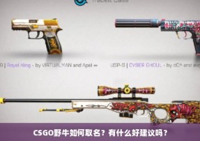 CSGO野牛如何取名？有什么好建议吗？