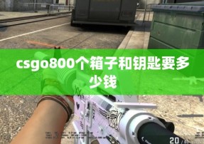 csgo800个箱子和钥匙要多少钱