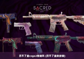 开不了麦csgo2有喇叭 (开不了麦的拼音)