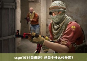 csgo1014是谁呀？还是个什么代号呢？