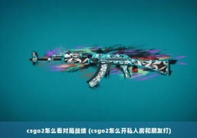 csgo2怎么看对局战绩 (csgo2怎么开私人房和朋友打)