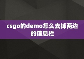 csgo的demo怎么去掉两边的信息栏