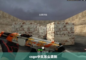 csgo中文怎么调制