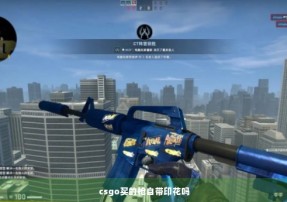 csgo买的枪自带印花吗