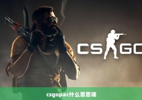 csgopac什么意思哦