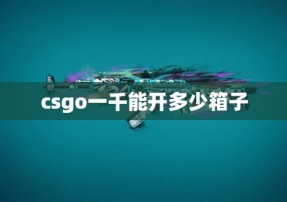 csgo一千能开多少箱子