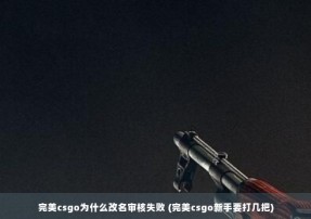 完美csgo为什么改名审核失败 (完美csgo新手要打几把)