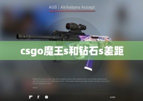 csgo魔王s和钻石s差距