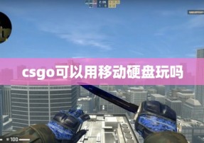 csgo可以用移动硬盘玩吗