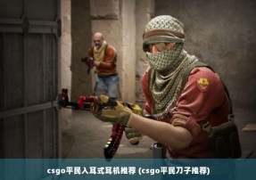 csgo平民入耳式耳机推荐 (csgo平民刀子推荐)