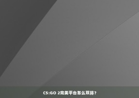 CS:GO 2完美平台怎么双排？