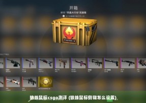 狼蛛鼠标csgo测评 (狼蛛鼠标侧键怎么设置)