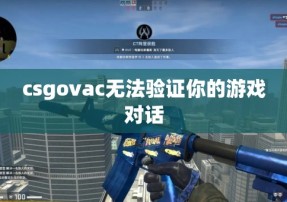 csgovac无法验证你的游戏对话