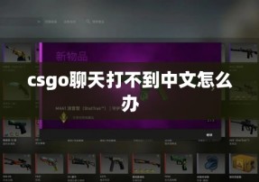 csgo聊天打不到中文怎么办