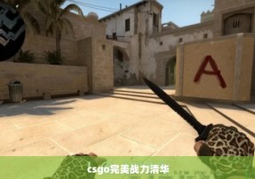 csgo完美战力清华