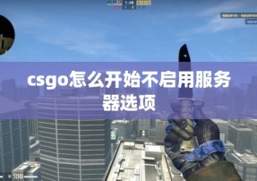 csgo怎么开始不启用服务器选项