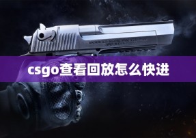 csgo查看回放怎么快进