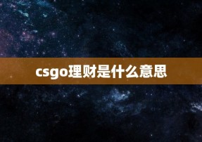 csgo理财是什么意思