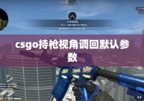 csgo持枪视角调回默认参数