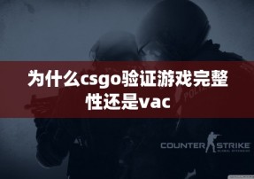 为什么csgo验证游戏完整性还是vac