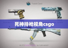 死神持枪视角csgo