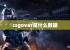 csgovar是什么数据